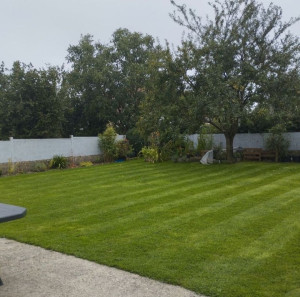 Photo de galerie - Tonte plus passage du rouleau