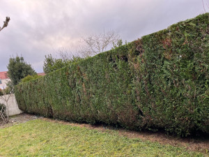 Photo de galerie - Paysagiste - Aménagement du jardin