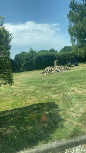 Photo de galerie - Elagage et coupe d'arbres