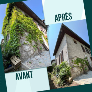 Photo de galerie - Taille plante grimpante sur façade