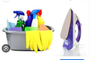 Photo de galerie - Je suis aide ménagère expérience de 3 ans  je suis quelqu'un sérieux je gére votre intérieur 