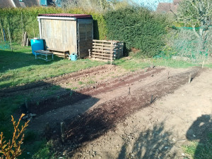 Photo de galerie - Potager et cabane de jardin en palette 