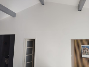 Photo de galerie - Peinture plafond plus murs