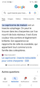 Photo de galerie - Dalep
