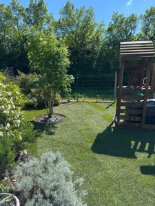 Photo de galerie - Mise en place de gazon de placage