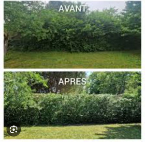 Photo de galerie - Réalisation 