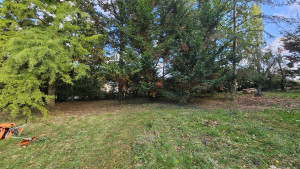 Photo de galerie - Après débroussaillage