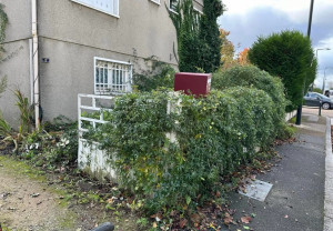 Photo de galerie - Taille de haies et d'arbustes