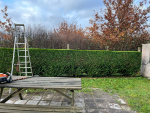 Photo de galerie - Haies