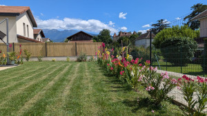 Photo de galerie - Pose de claustra bois et tonte de pelouse + plantation de plantes.