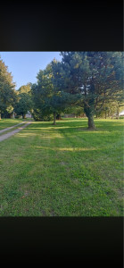 Photo de galerie - Remise à propre 