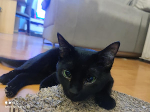 Photo de galerie - Kira