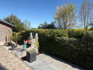 Photo de galerie - Taille d’une haie 