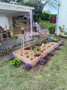 Photo de galerie - Potager 