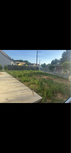 Photo de galerie - Pelouse avant 