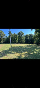 Photo de galerie - Tonte et débroussaillage d’un jardin