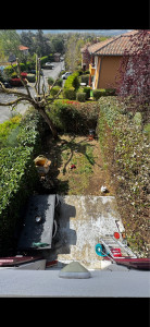 Photo de galerie - Haie 