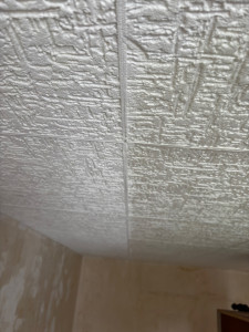 Photo de galerie - Peinture - Tapisserie