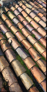 Photo de galerie - Demoussage avant 