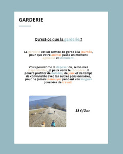 Photo de galerie - Garderie canine 