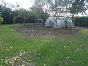 Photo de galerie - Tonte de pelouse - Débroussaillage