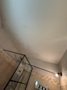 Photo de galerie - Faux plafond en lambris pvc 