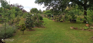 Photo de galerie - Jardin personnel, a l'entrée un lieu japonisant, un jardin en permaculture et fruitier.