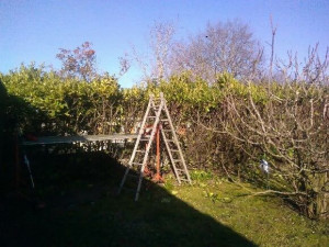 Photo de galerie - Paysagiste - Aménagement du jardin