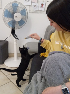 Photo de galerie - Je joué avec un chat