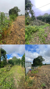 Photo de galerie - Tonte de pelouse - Débroussaillage