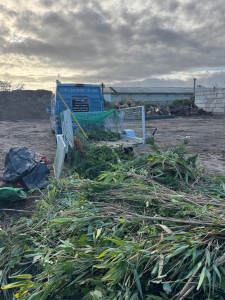 Photo de galerie - Dépôt des déchets verts uniquement en déchetterie professionnelle.