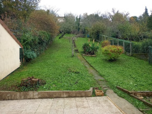 Photo de galerie - Taille de haies et d'arbustes