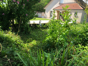Photo de galerie - Jardin en friche avant intervention 