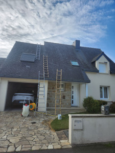 Photo de galerie - Avant nettoyage toiture 