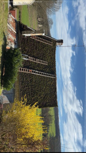 Photo de galerie - Remaniage de tuiles,Démoussage, décapement,traitement toiture 