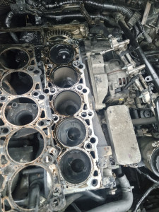 Photo de galerie - Déculasse touareg v 10