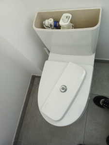 Photo de galerie - Changement de mécanisme de chasse