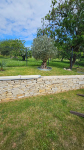 Photo de galerie - Paysagiste - Aménagement du jardin