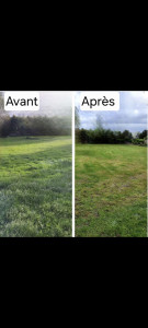 Photo de galerie - Tonte de pelouse - Débroussaillage