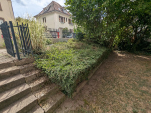 Photo de galerie - Taille de haies et d'arbustes