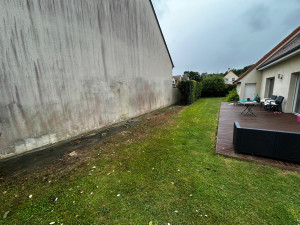 Photo de galerie - Elagage et coupe d'arbres