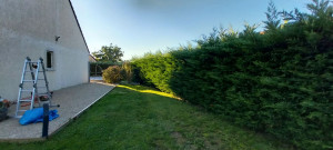 Photo de galerie - Haie avant 