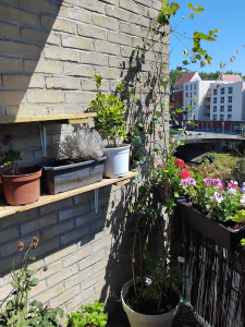 Photo de galerie - Paysagiste - Aménagement du jardin