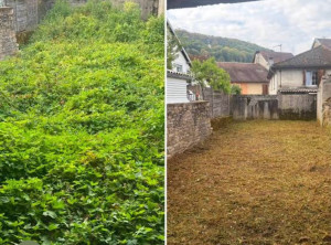 Photo de galerie - Tonte de pelouse - Débroussaillage