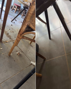 Photo de galerie - Ménage