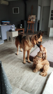 Photo de galerie - Thalia et iundy