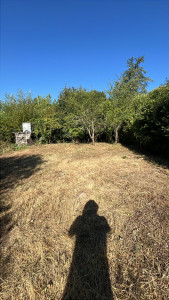 Photo de galerie - Pelouse débroussaillages 