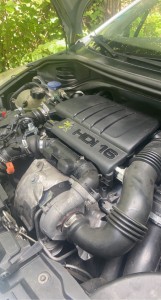 Photo de galerie - Moteur psa 