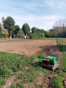 Photo de galerie - Création d'une pelouse. 