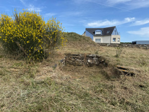 Photo de galerie - Débroussaillage terrain complexe 